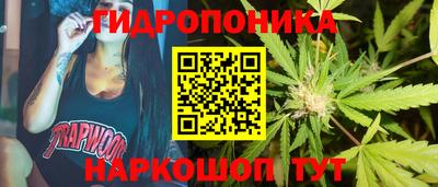 кокс Шебекино