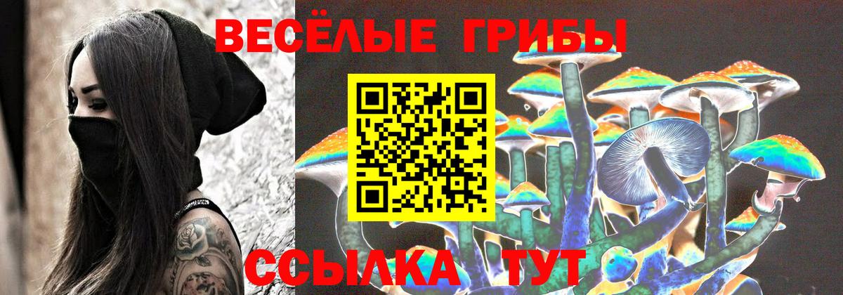 Галлюциногенные грибы MAGIC MUSHROOMS  Псилоцибиновые грибы MAGIC MUSHROOMS  Вход с VPN  даркнет сайт  Электросталь 